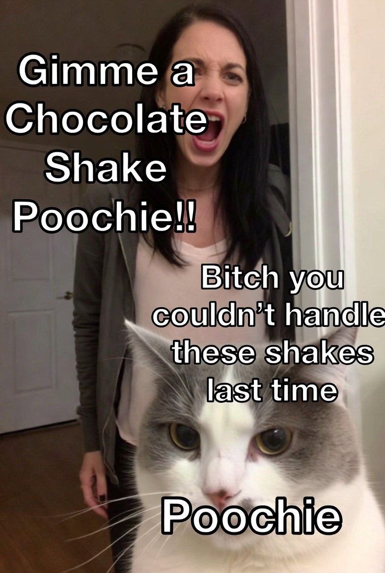 Tourist screams for a chocolate shake. Poochie remembers last time.